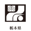 Thumbnail of related posts 135