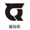 Thumbnail of related posts 155