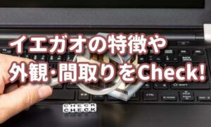 【住宅ローン審査に強いイエガオ】施工例で外観、間取りもチェック！