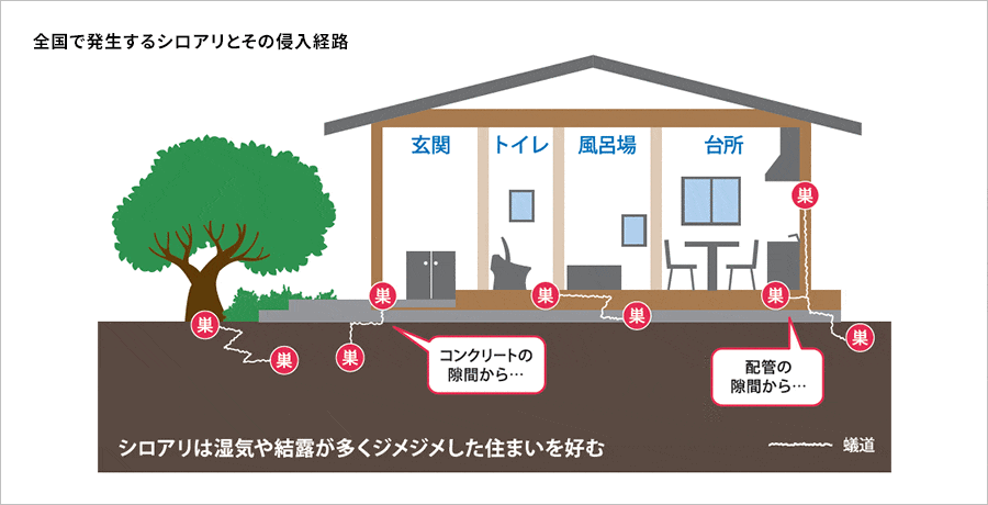 アキュラホームの防蟻対策