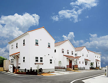 casa carina