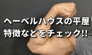 ヘーベルハウスの平屋【災害最強!?】特徴や仕様もチェック