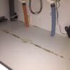 【入居後不具合】キッチン収納にカビが生えた！ | そうだ！一条工務店のi-smartで家を
